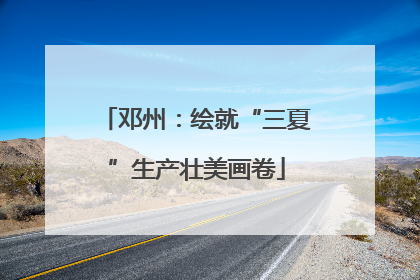 邓州：绘就“三夏”生产壮美画卷