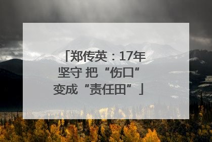 郑传英：17年坚守 把“伤口”变成“责任田”
