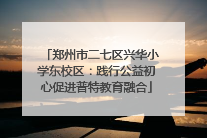 郑州市二七区兴华小学东校区：践行公益初心促进普特教育融合