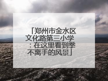 郑州市金水区文化路第三小学：在这里看到拳不离手的风景