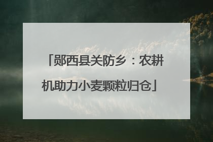 郧西县关防乡：农耕机助力小麦颗粒归仓