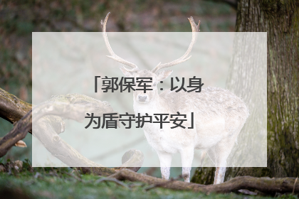 郭保军：以身为盾守护平安