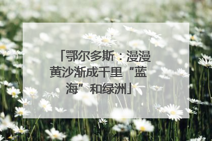 鄂尔多斯：漫漫黄沙渐成千里“蓝海”和绿洲