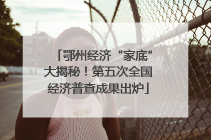 鄂州经济“家底”大揭秘！第五次全国经济普查成果出炉