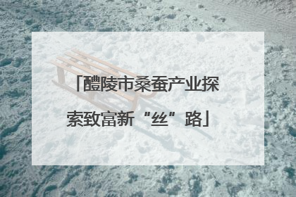 醴陵市桑蚕产业探索致富新“丝”路