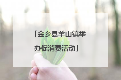 金乡县羊山镇举办促消费活动