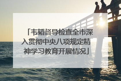 韦韬督导检查全市深入贯彻中央八项规定精神学习教育开展情况