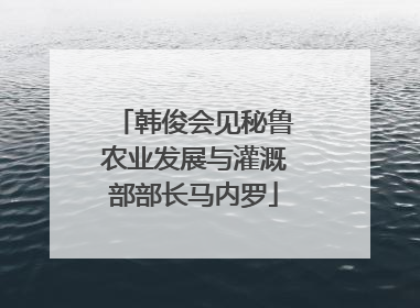 韩俊会见秘鲁农业发展与灌溉部部长马内罗