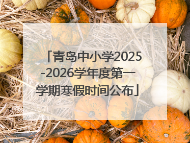 青岛中小学2025-2026学年度第一学期寒假时间公布