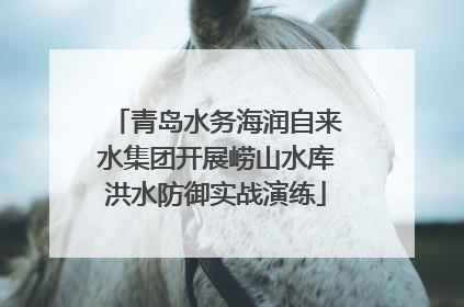 青岛水务海润自来水集团开展崂山水库洪水防御实战演练