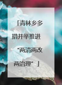 青林乡多措并举推进“两清两改两治理”