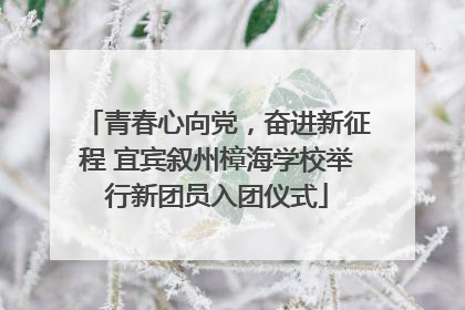 青春心向党，奋进新征程 宜宾叙州樟海学校举行新团员入团仪式