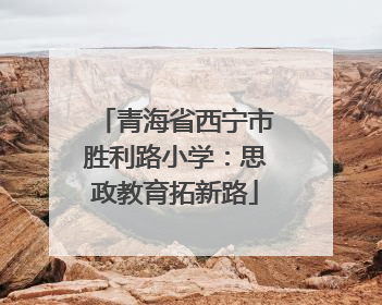 青海省西宁市胜利路小学：思政教育拓新路
