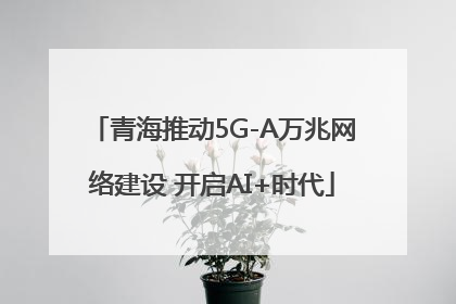 青海推动5G-A万兆网络建设 开启AI+时代