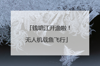 钱塘江开渔啦！无人机载鱼飞行