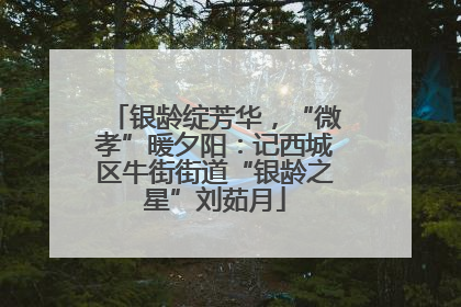 银龄绽芳华，“微孝”暖夕阳：记西城区牛街街道“银龄之星”刘茹月