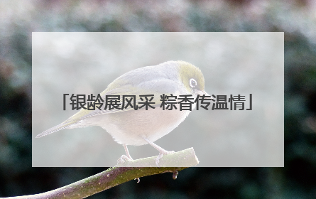 银龄展风采 粽香传温情