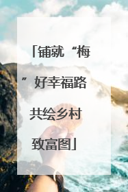 铺就“梅”好幸福路 共绘乡村致富图