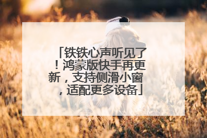 铁铁心声听见了！鸿蒙版快手再更新，支持侧滑小窗，适配更多设备