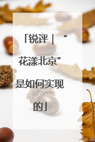 锐评｜“花漾北京”是如何实现的