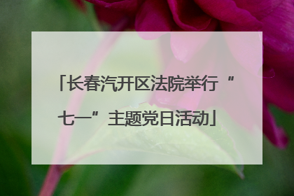 长春汽开区法院举行“七一”主题党日活动