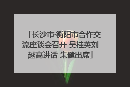 长沙市·衡阳市合作交流座谈会召开 吴桂英刘越高讲话 朱健出席