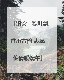 镇安：粽叶飘香承古韵 志愿传情暖端午