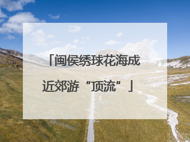 闽侯绣球花海成近郊游“顶流”