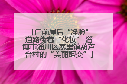 门前屋后“净脸” 道路街巷“化妆” 淄博市淄川区寨里镇葫芦台村的“美丽嬗变”