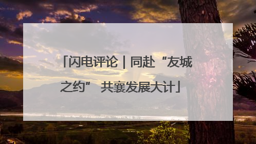 闪电评论｜同赴“友城之约” 共襄发展大计