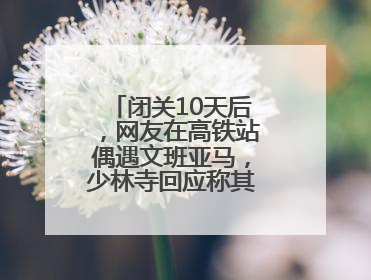 闭关10天后，网友在高铁站偶遇文班亚马，少林寺回应称其已离开寺院