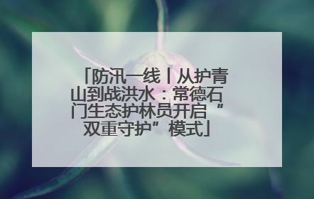 防汛一线丨从护青山到战洪水：常德石门生态护林员开启“双重守护”模式