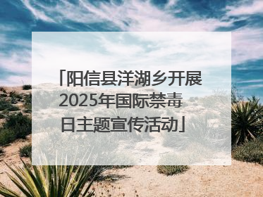 阳信县洋湖乡开展2025年国际禁毒日主题宣传活动