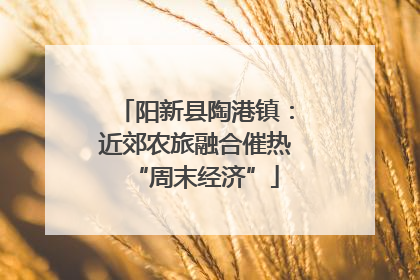 阳新县陶港镇：近郊农旅融合催热“周末经济”