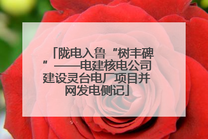 陇电入鲁“树丰碑”——电建核电公司建设灵台电厂项目并网发电侧记