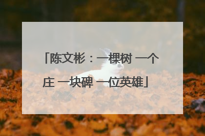 陈文彬：一棵树 一个庄 一块碑 一位英雄