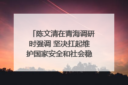 陈文清在青海调研时强调 坚决扛起维护国家安全和社会稳定职责使命 为谱写中国式现代化青海篇章贡献政法力量