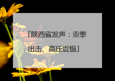 陕西省发声：重拳出击、高压震慑