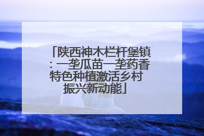 陕西神木栏杆堡镇：一垄瓜苗一垄药香 特色种植激活乡村振兴新动能