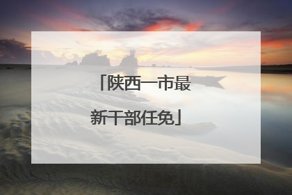 陕西一市最新干部任免