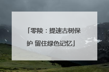 零陵：提速古树保护 留住绿色记忆