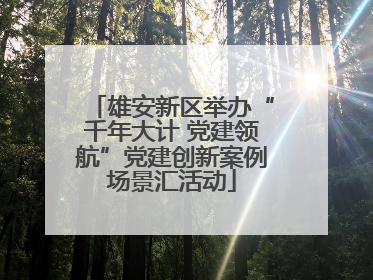 雄安新区举办“千年大计 党建领航”党建创新案例场景汇活动