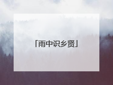 雨中识乡贤