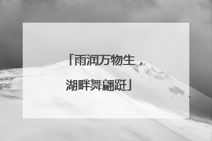 雨润万物生，湖畔舞翩跹