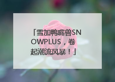 雪加鸭嘴兽SNOWPLUS，卷起潮流风暴！