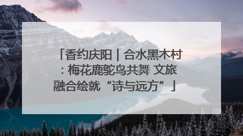 香约庆阳｜合水黑木村：梅花鹿鸵鸟共舞 文旅融合绘就“诗与远方”