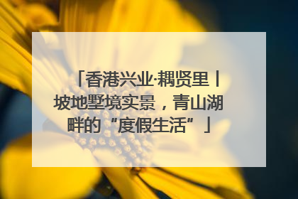 香港兴业·耦贤里丨坡地墅境实景，青山湖畔的“度假生活”