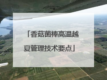 香菇菌棒高温越夏管理技术要点