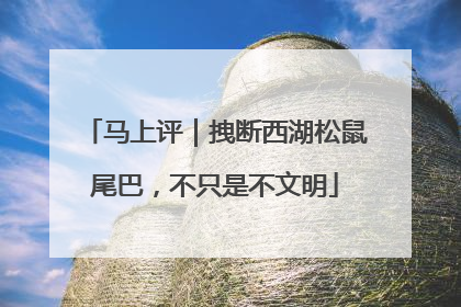 马上评｜拽断西湖松鼠尾巴，不只是不文明