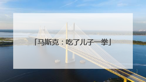 马斯克：吃了儿子一拳